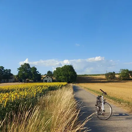 Anna Casa de Férias Prottes