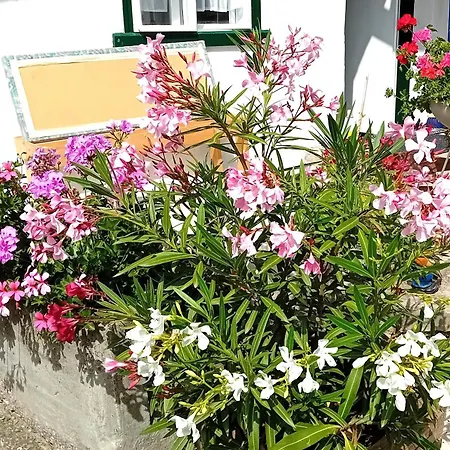 Casa de Férias Anna Prottes