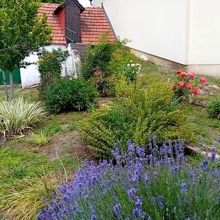 Anna بيت للعطل Prottes