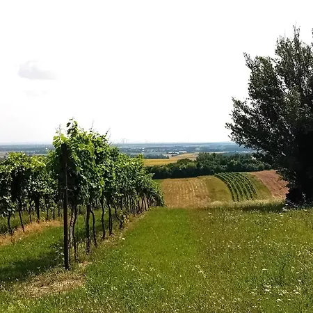 Anna بيت للعطل Prottes