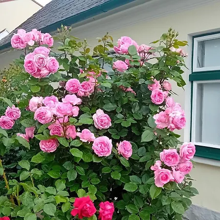 Anna بيت للعطل