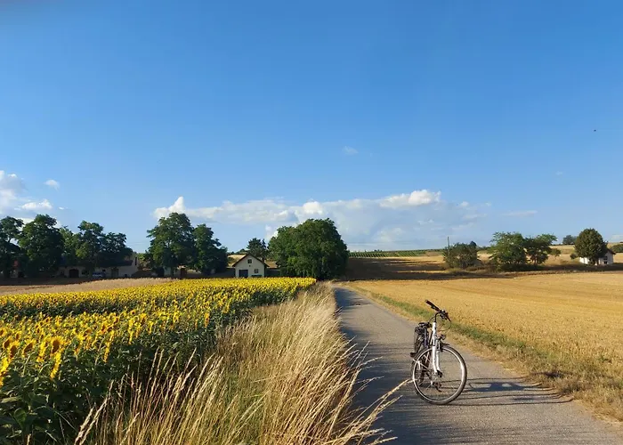 Anna Feriehus Prottes