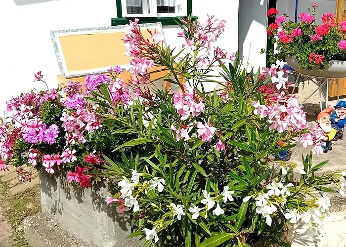 Holiday home Anna Prottes