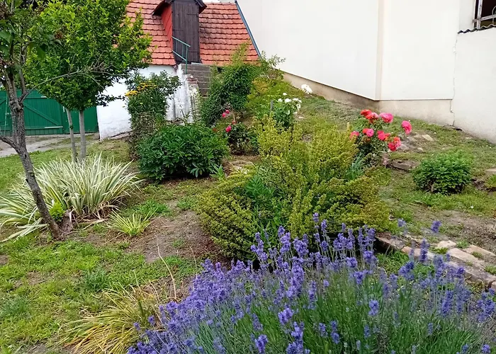 Anna Feriehus Prottes