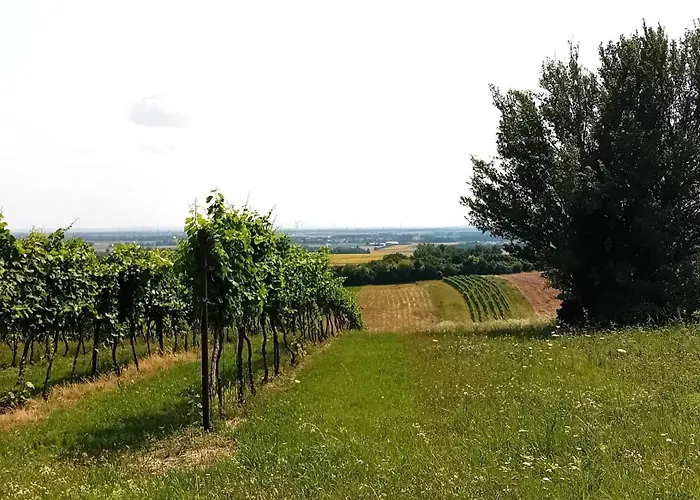 Anna Holiday home Prottes